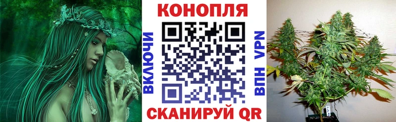 Где купить Скопин mega tor  Меф  ГАШИШ  Амфетамин  Галлюциногенные грибы  Конопля  СК 