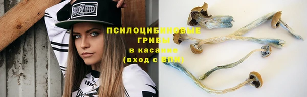 МДМА Новозыбков