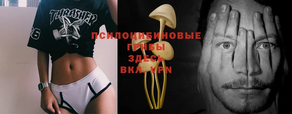 дмт Новодвинск