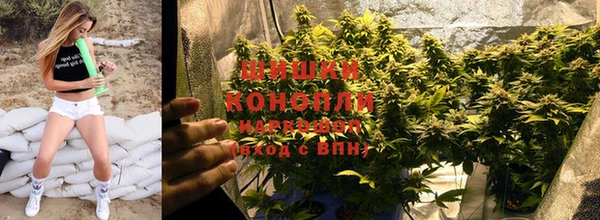 дмт Новодвинск