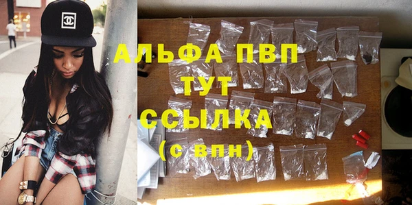 дмт Новодвинск