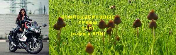 дурь Новокубанск