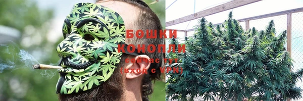 МДМА Новозыбков