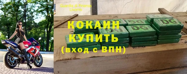 дмт Новодвинск