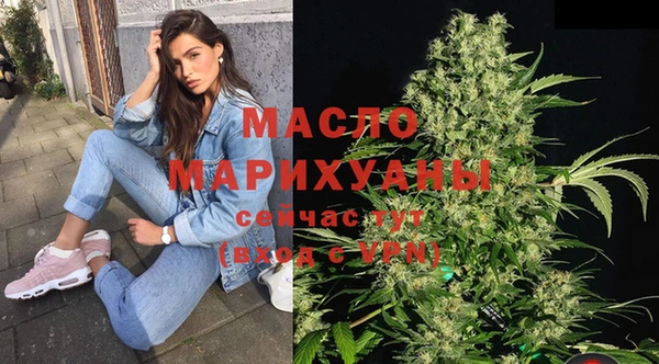 дмт Новодвинск