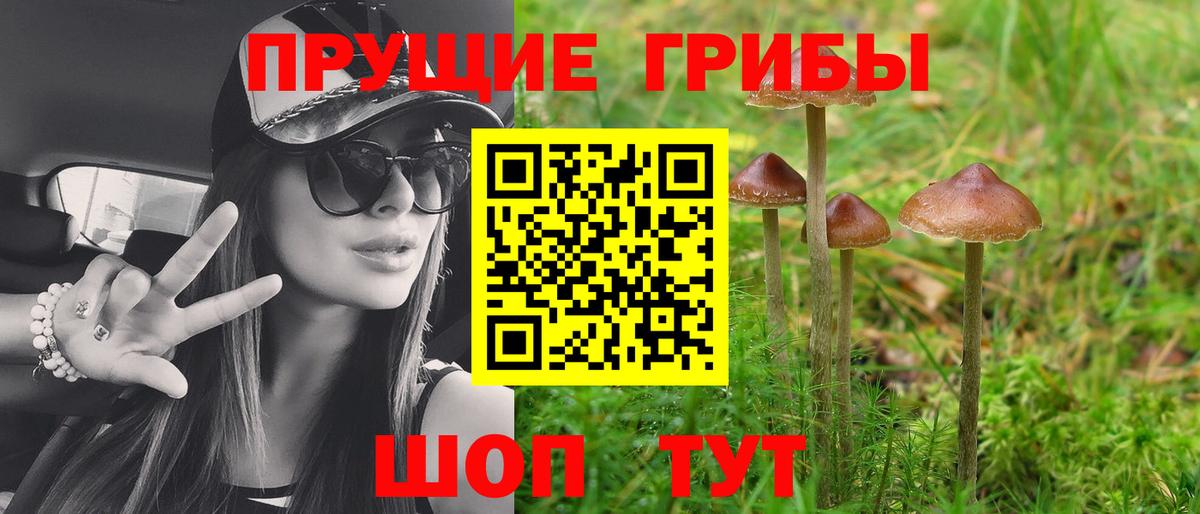 Скопин  Псилоцибиновые грибы Psilocybine cubensis  Вход с VPN 