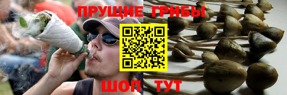 Галлюциногенные грибы GOLDEN TEACHER Скопин